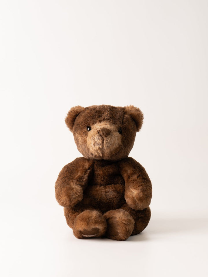 Ranger Teddy Soft Toy - Heyday