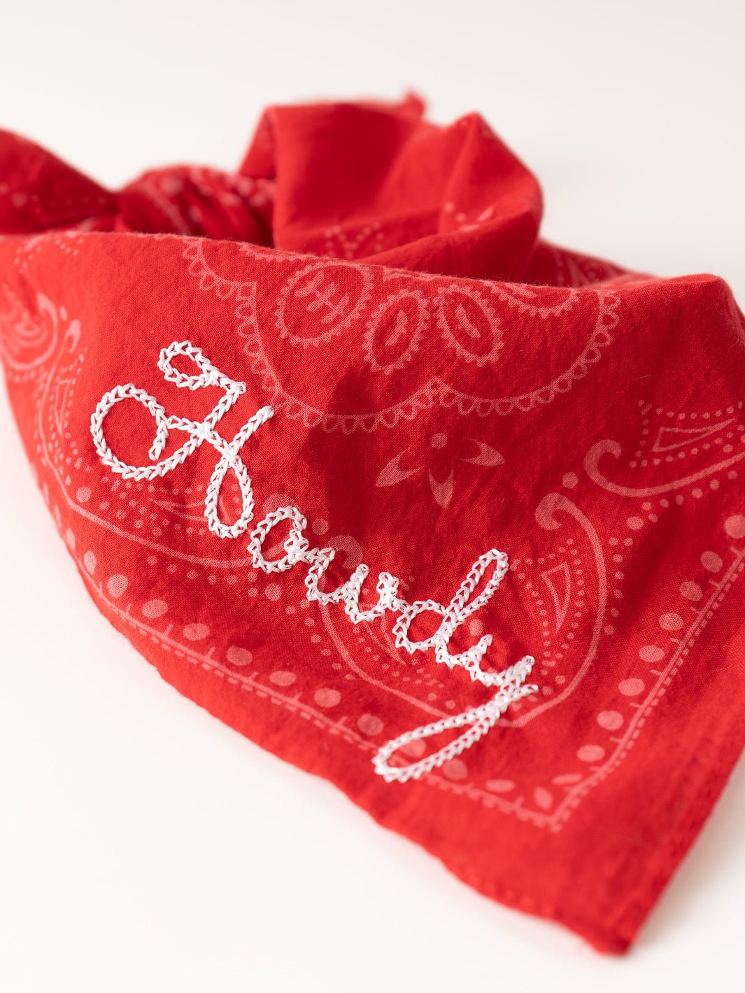 Red Howdy Bandana - Heyday