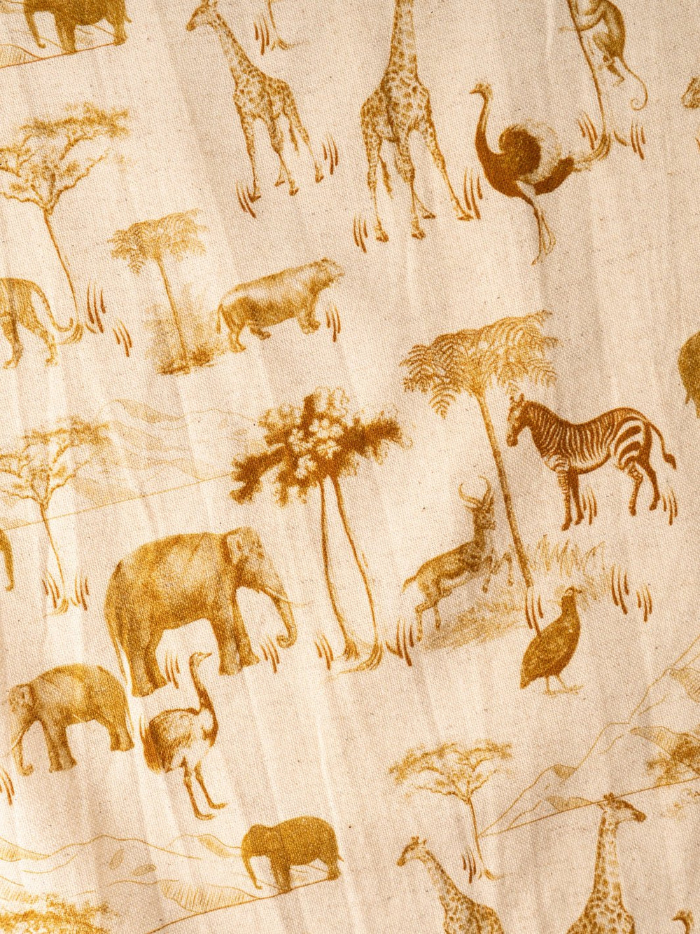 Safari Napkin Set - Heyday