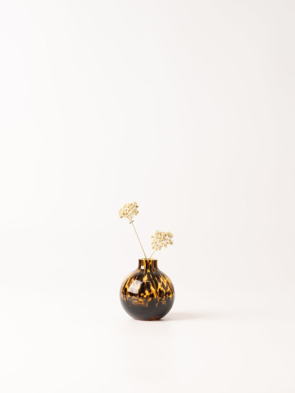 Short Tortoise Glass Vase - Heyday