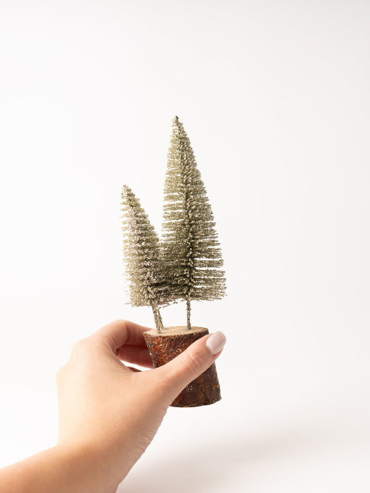 Silver Bottle Brush Tree - Heyday