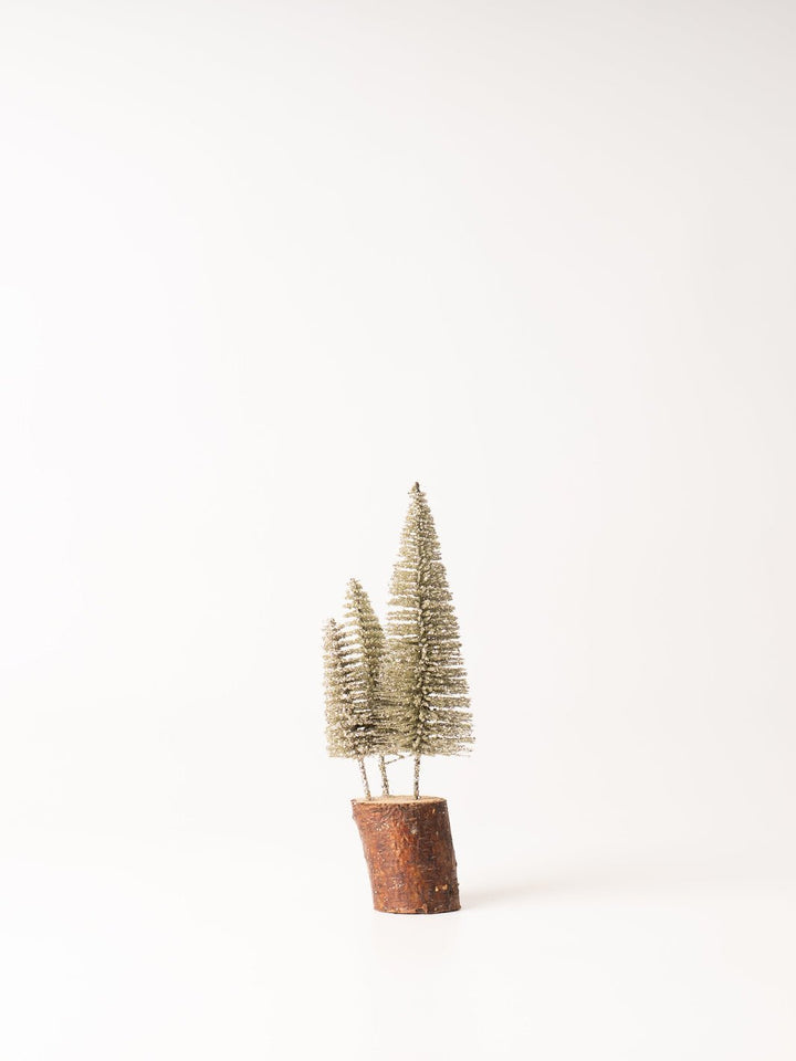 Silver Bottle Brush Tree - Heyday