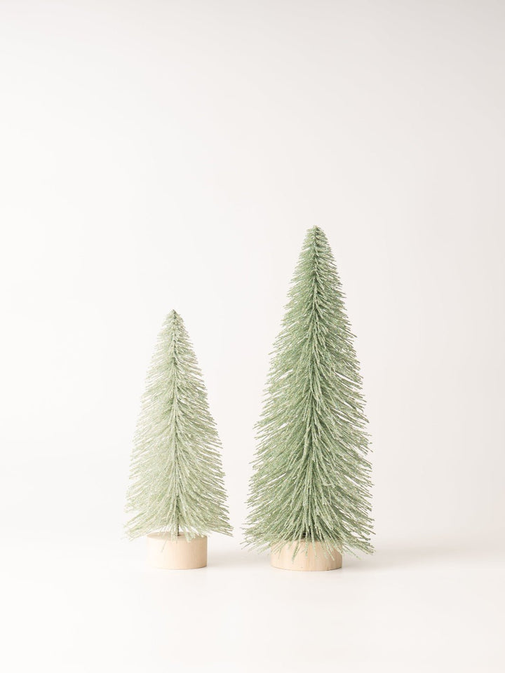 Small Mint Bottle Brush Tree - Heyday