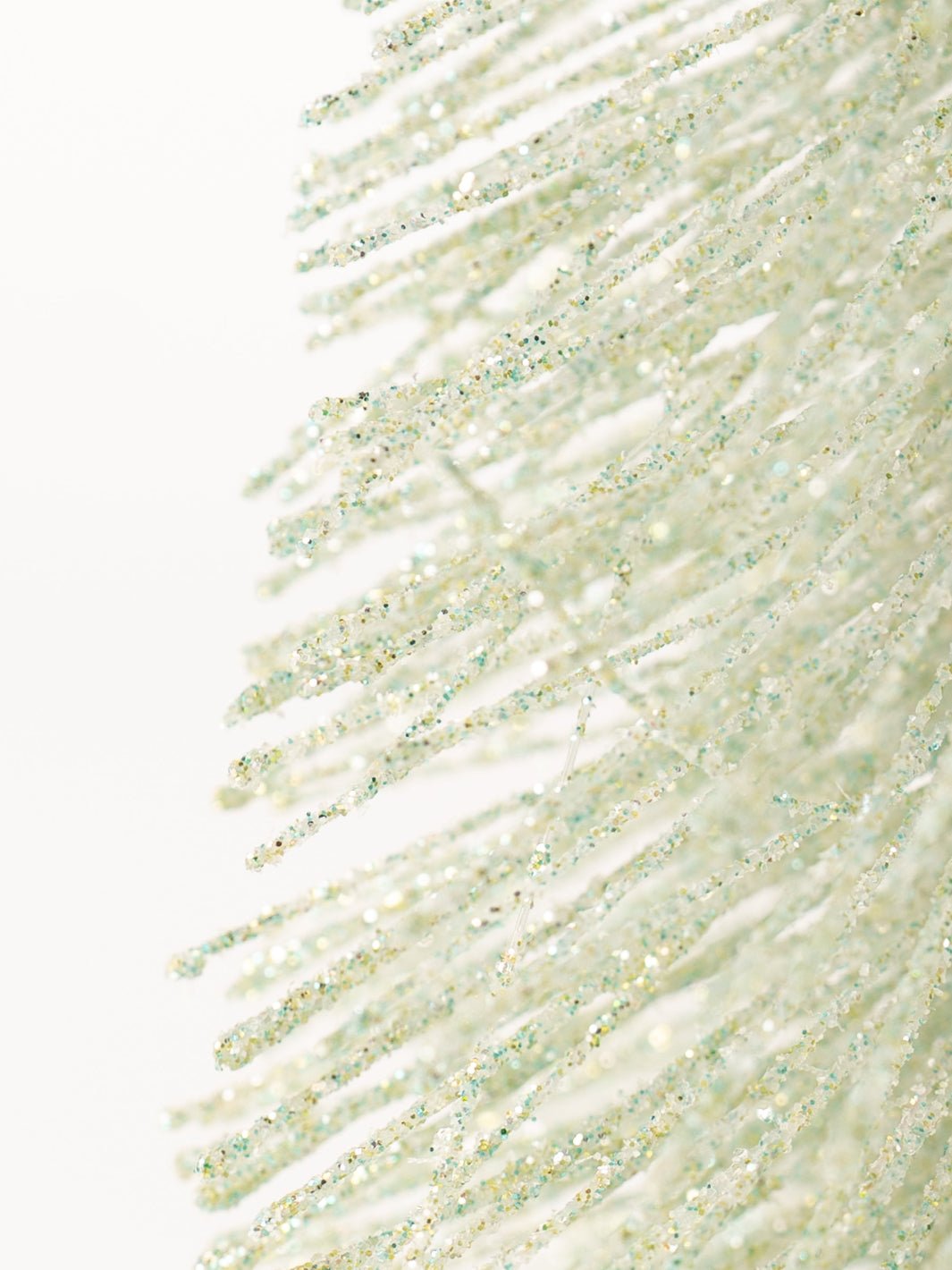 Small Mint Bottle Brush Tree - Heyday