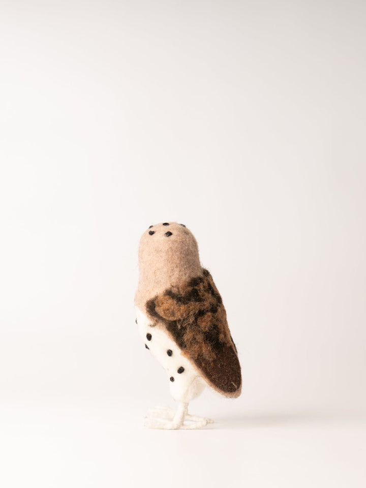 Spotted Barn Owl - Heyday