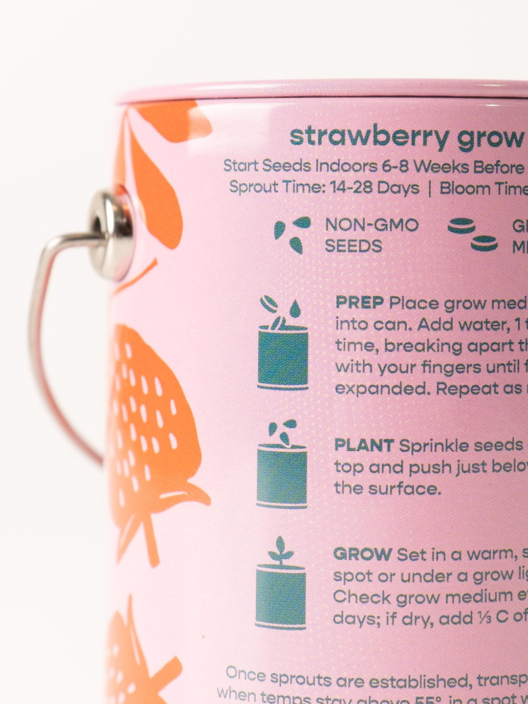 Strawberry Grow Kit - Heyday