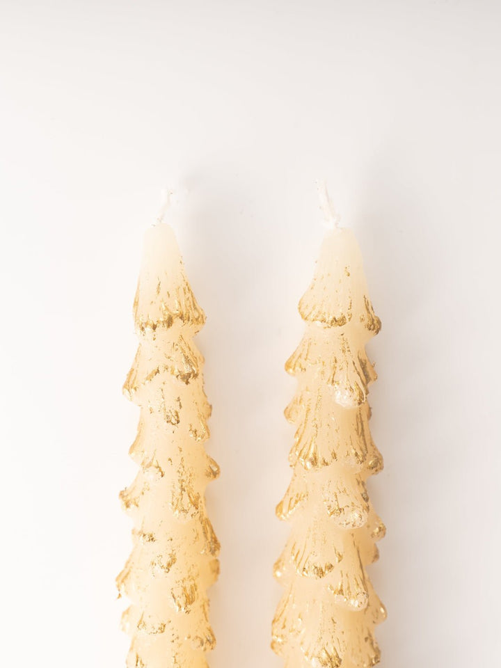 Tall Gold Dipped Ivory Tree Taper Candles - Heyday