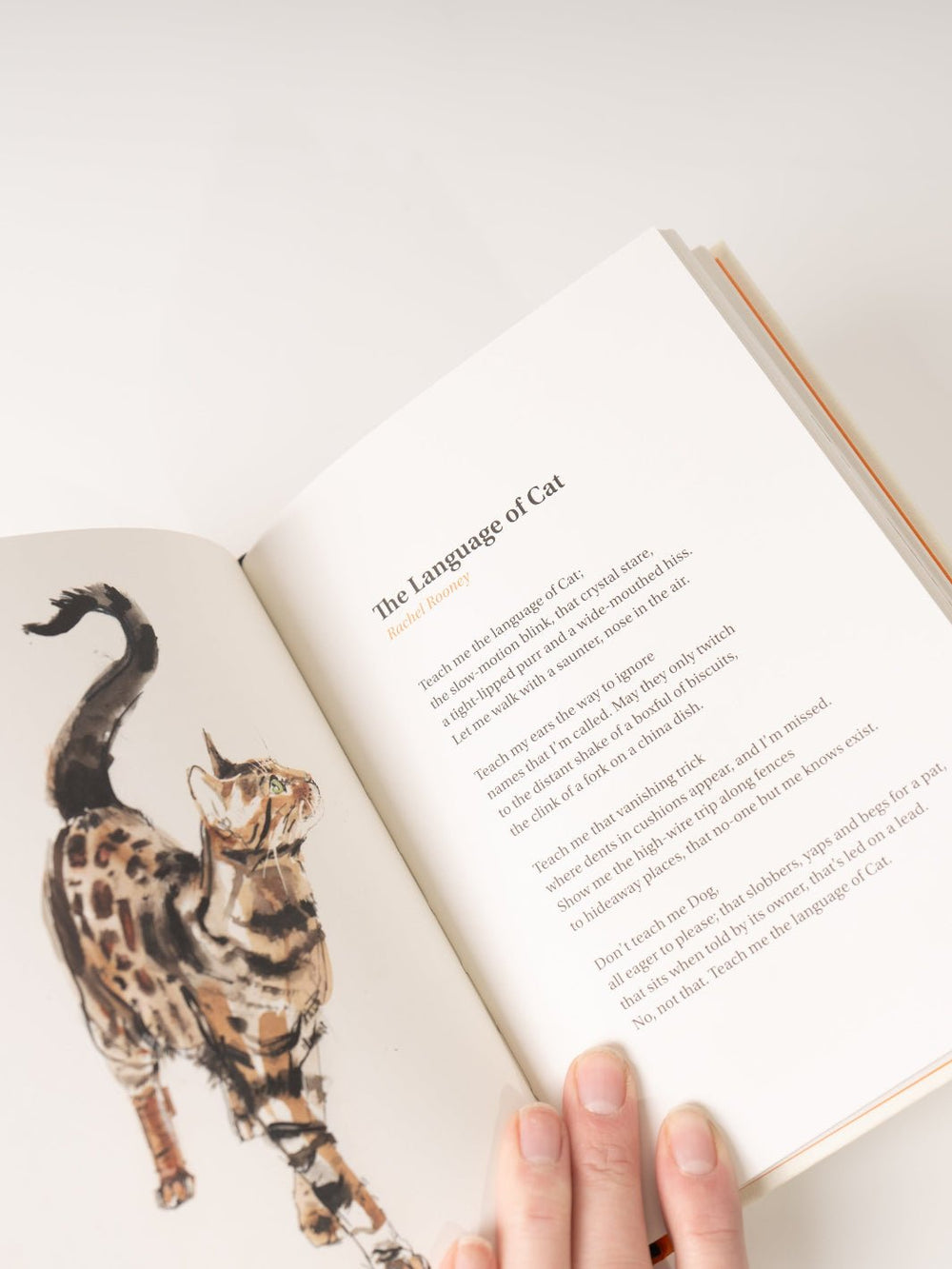 The Book of Cat Poems - Heyday