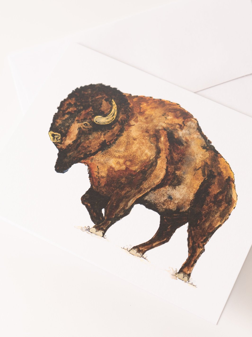 Watercolor Buffalo Greeting Card - Heyday