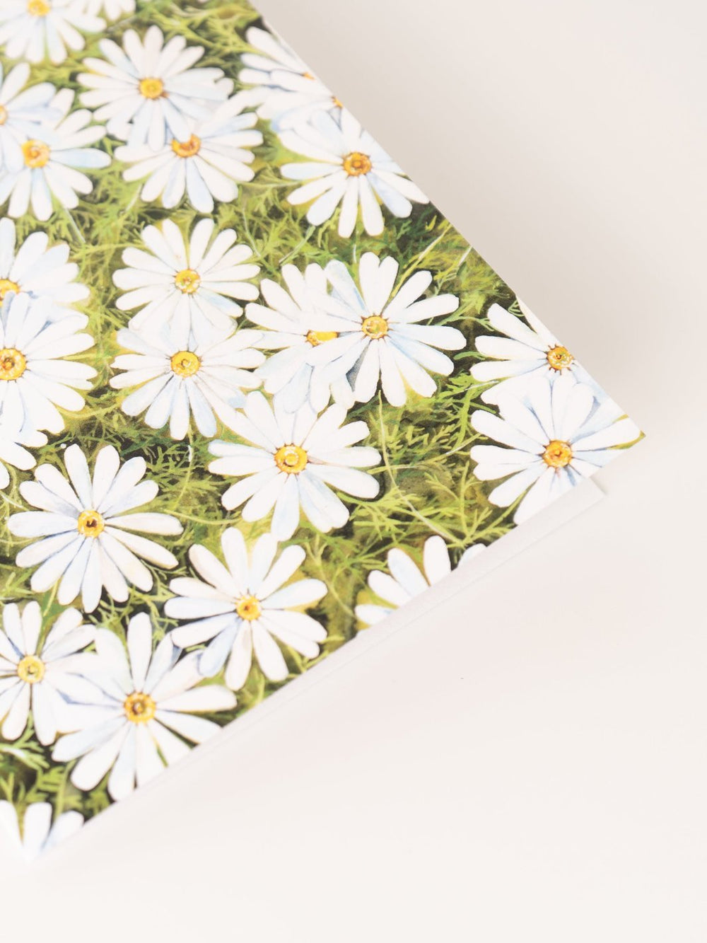 Wild Daisy Greeting Card - Heyday