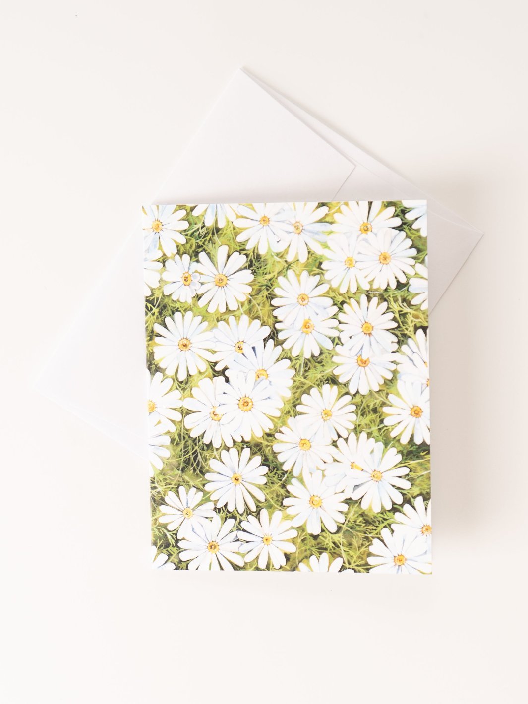 Wild Daisy Greeting Card - Heyday