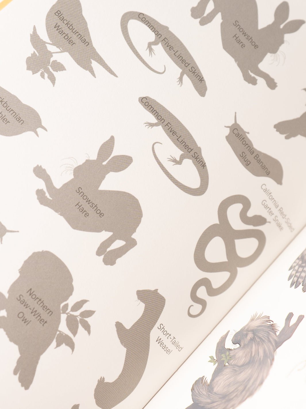 Wild, Wonderful Woodland Animal Tattoos - Heyday