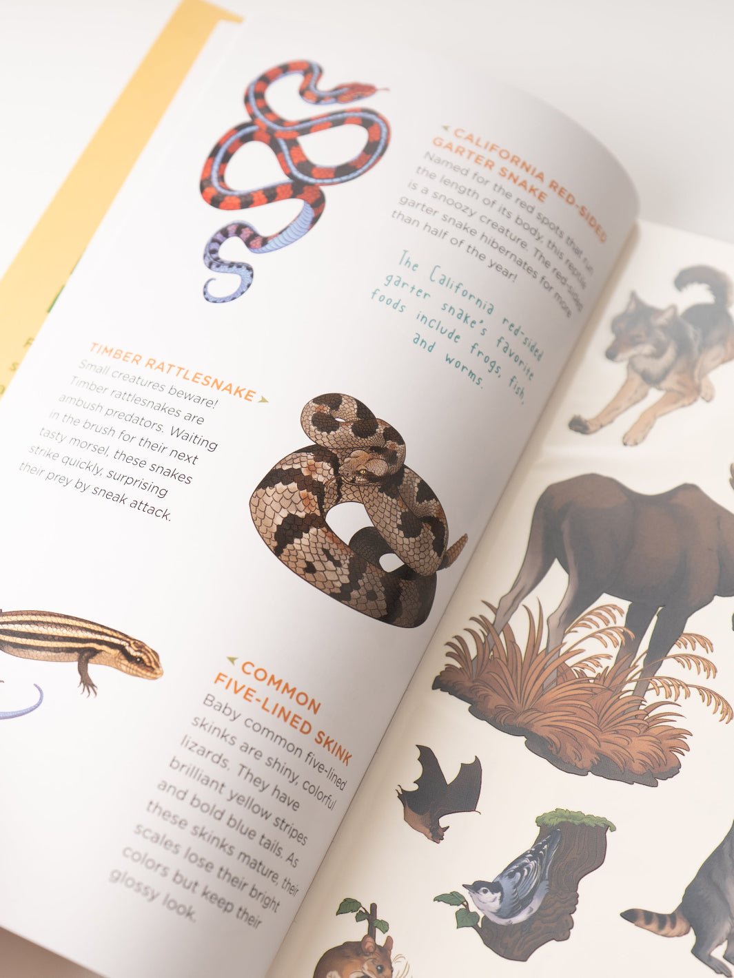 Wild, Wonderful Woodland Animal Tattoos - Heyday