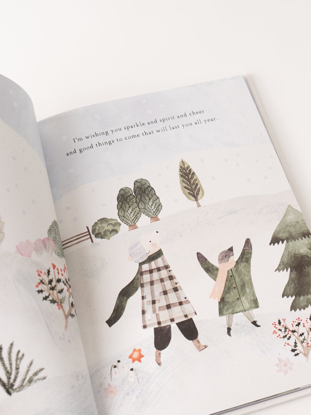 Winter Wishes Book - Heyday