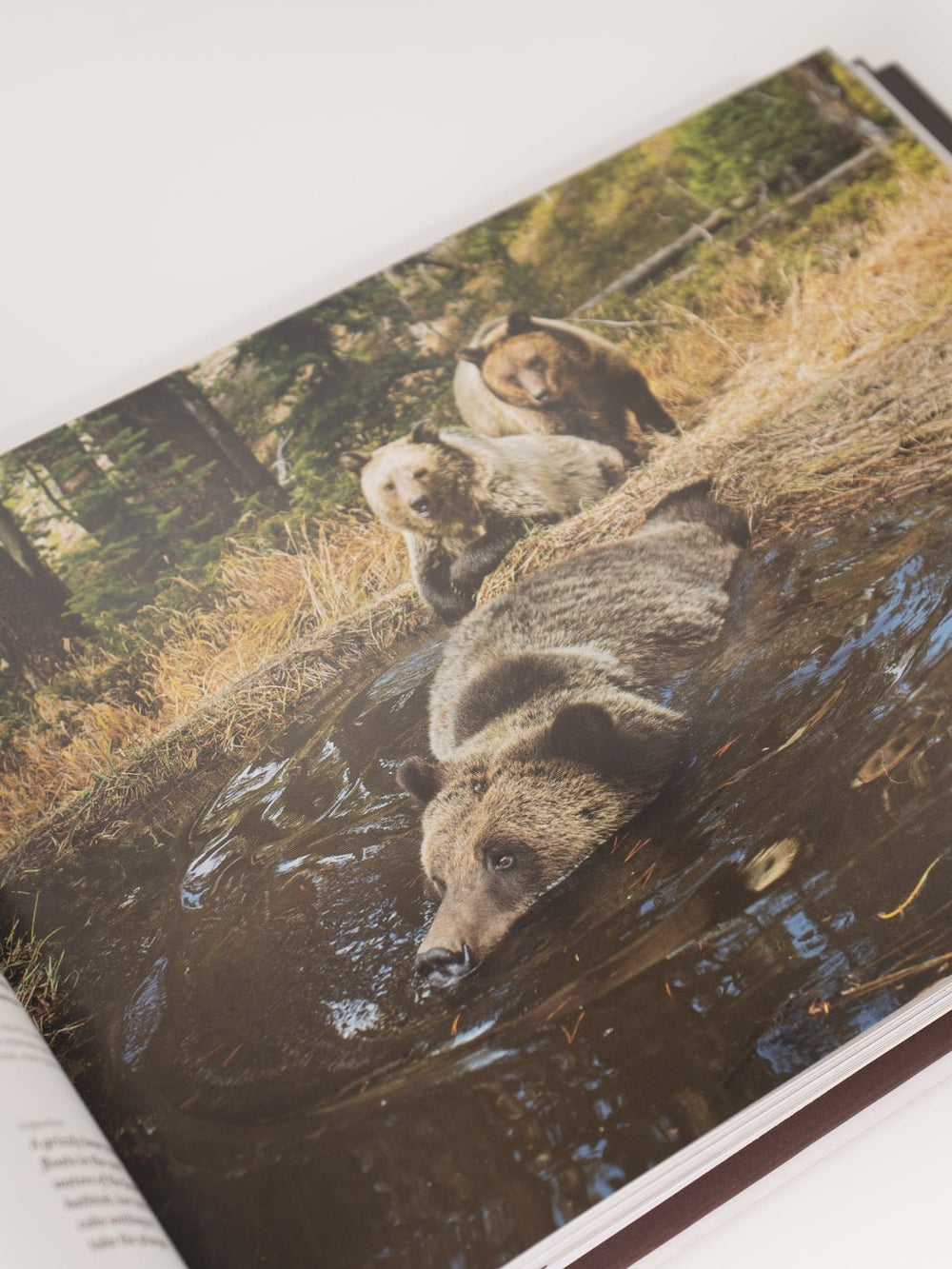 Yellowstone: A Journey Through America's Wild Heart Book - Heyday