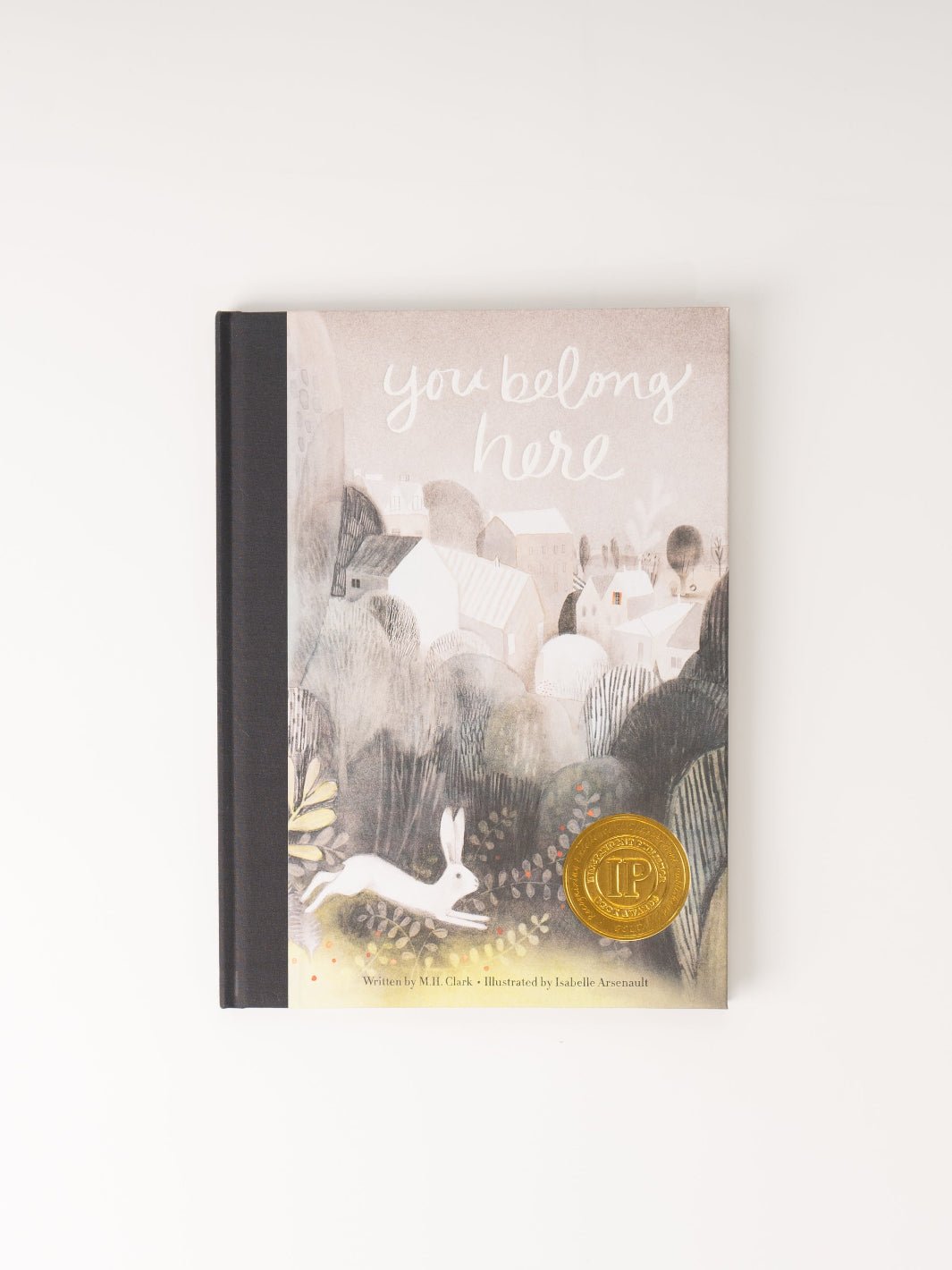 You Belong Here Book - Heyday