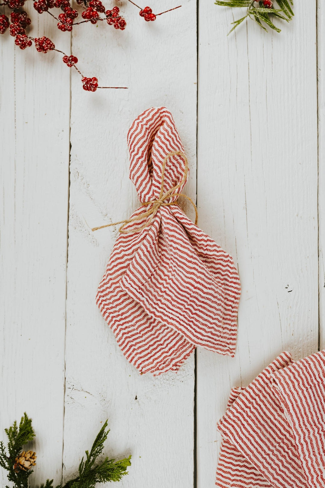 Red Striped Napkin Set - Heyday
