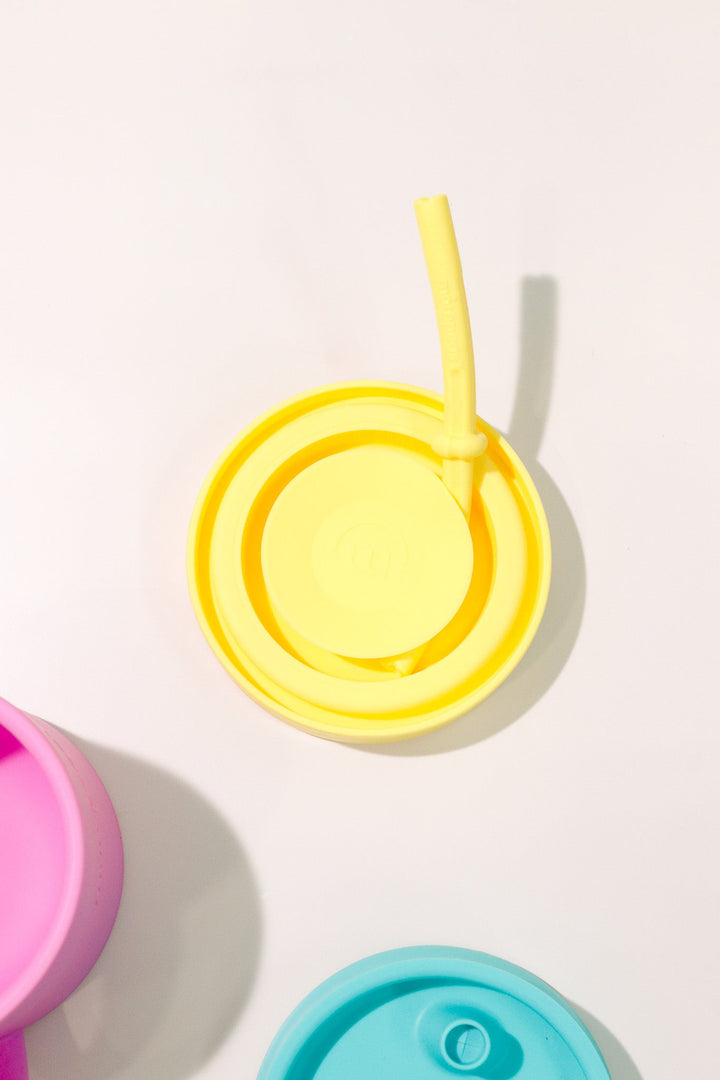 Sippy Cup + Straw Set - Heyday