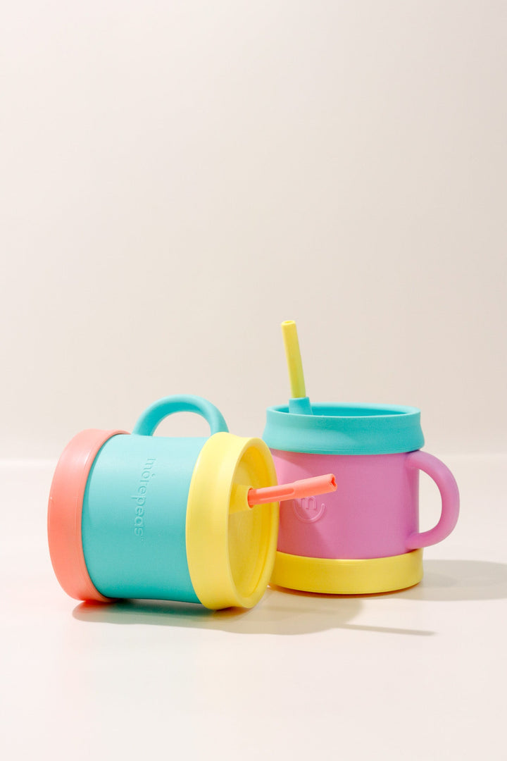 Sippy Cup + Straw Set - Heyday