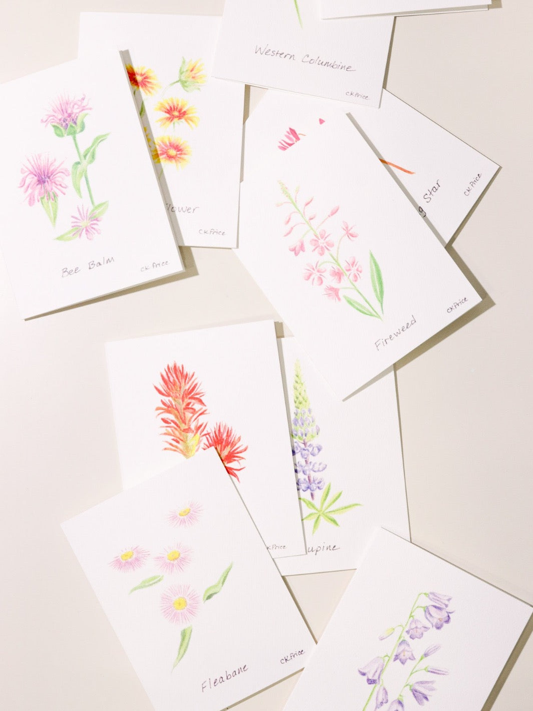 A set of 10 cards with wildflower illustrations and names