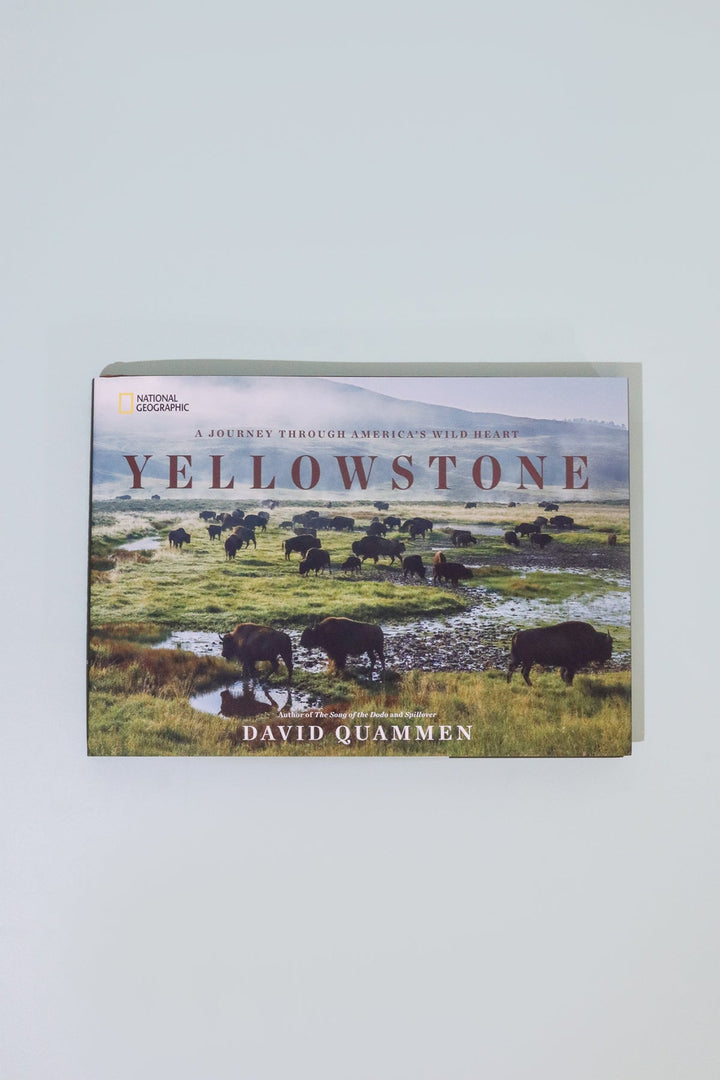 Yellowstone - Heyday